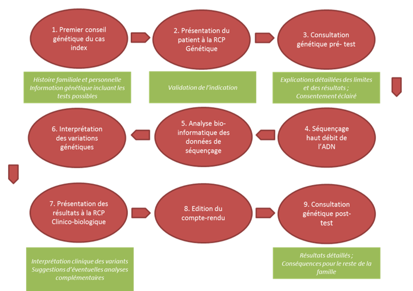 Le parcours clinico-biologique des analyses de séquençage haut débit d'exome